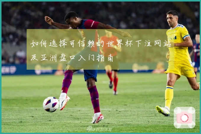 如何选择可信赖的世界杯下注网站及亚洲盘口入门指南